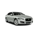 XF