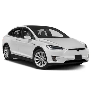 Model X