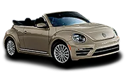 Beetle